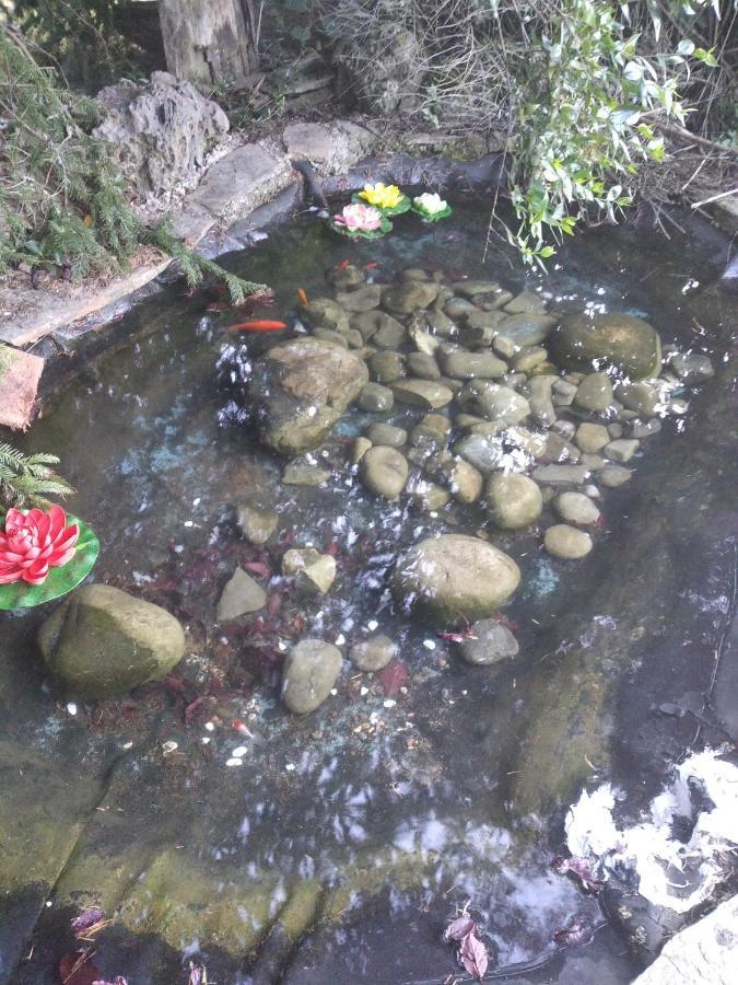 Casa Las Ninas Quintanahedo ภายนอก รูปภาพ