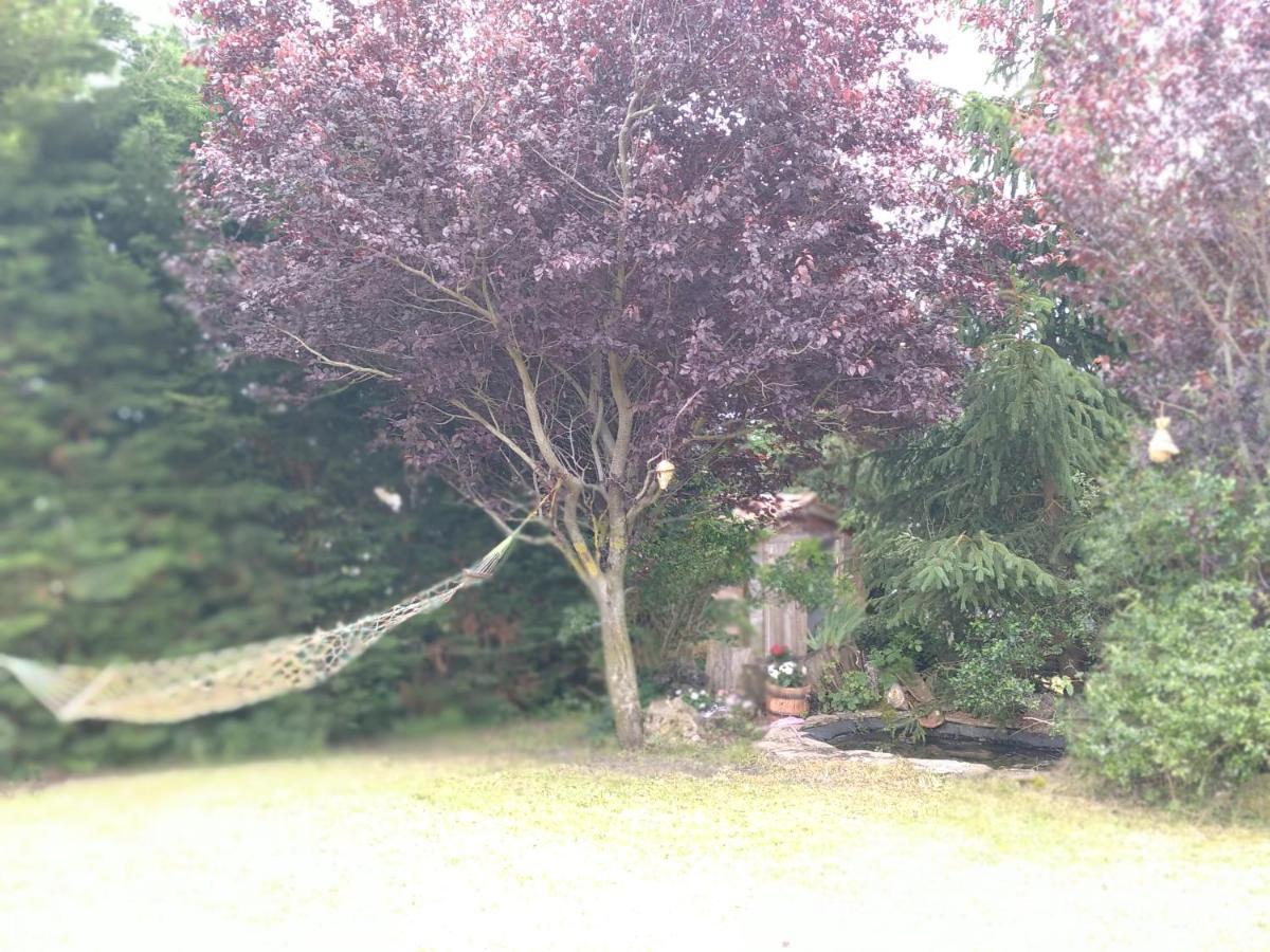 Casa Las Ninas Quintanahedo ภายนอก รูปภาพ